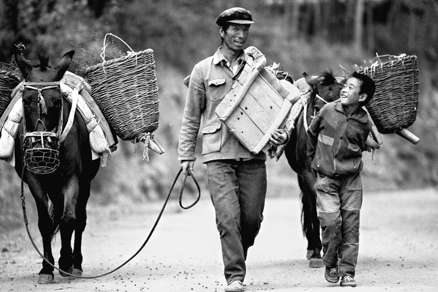 15 Of The World’s Best Carnivals